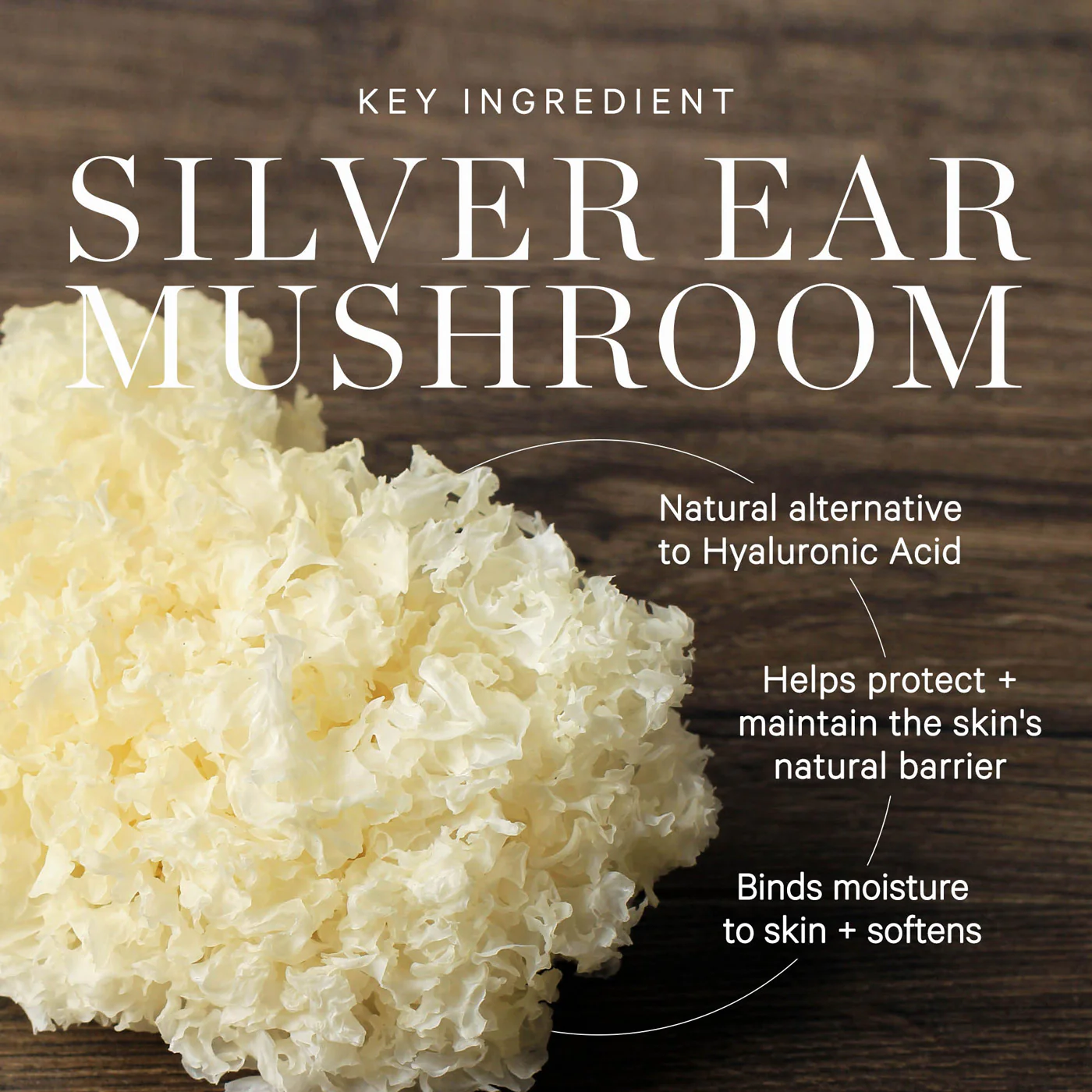 Milky Mushroom Ultra-Hydrating Mask - Image 8